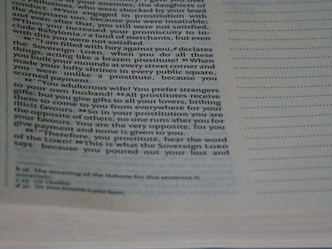 Photo aplicații organizare studiu