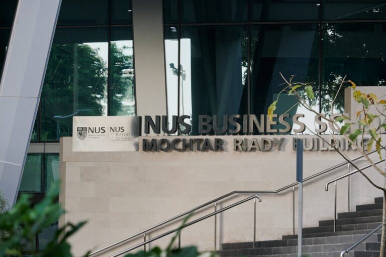 Importanța stagiilor de practică: Cum să prinzi o ofertă de top