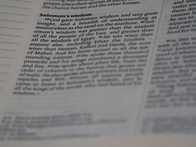 Drepturile și obligațiile studentului: Tot ce trebuie să știi