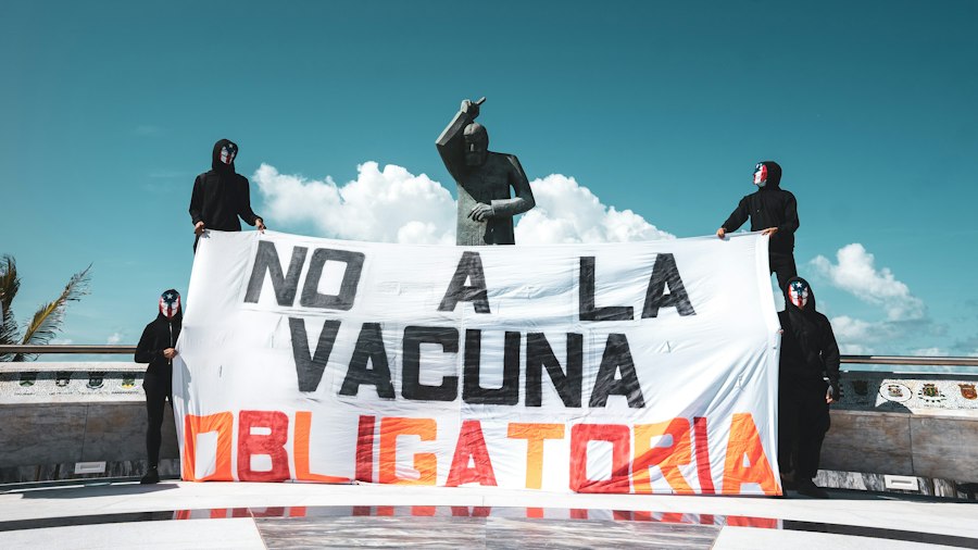 voluntariatul