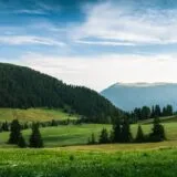Importanța participării la târgurile de carieră Angajatori de Top